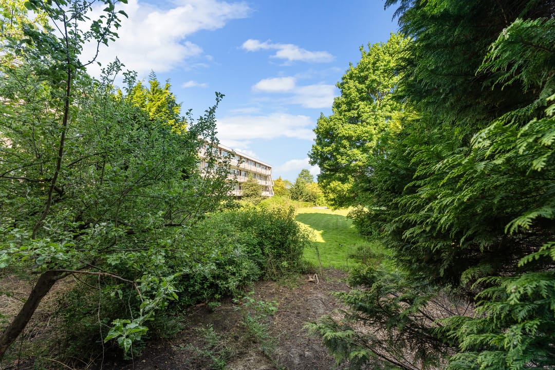 Foto 37 van Olijflaan 47