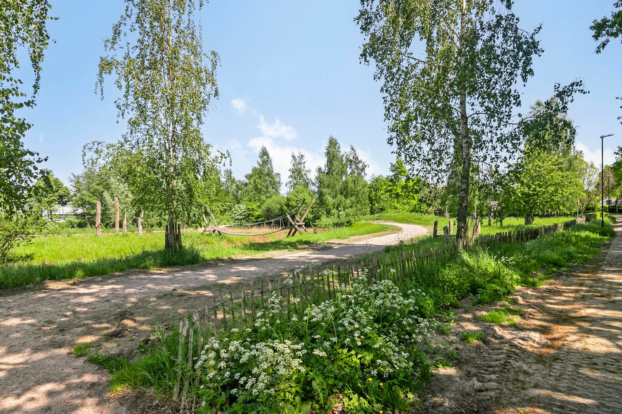 Foto 39 van Houtwal 8