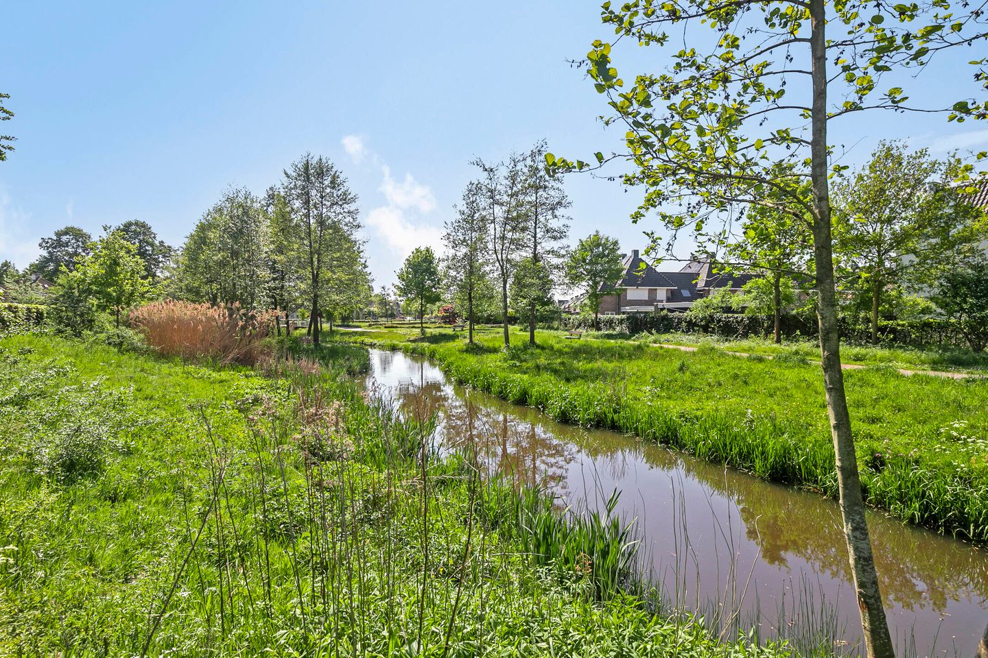 Foto 40 van Houtwal 8