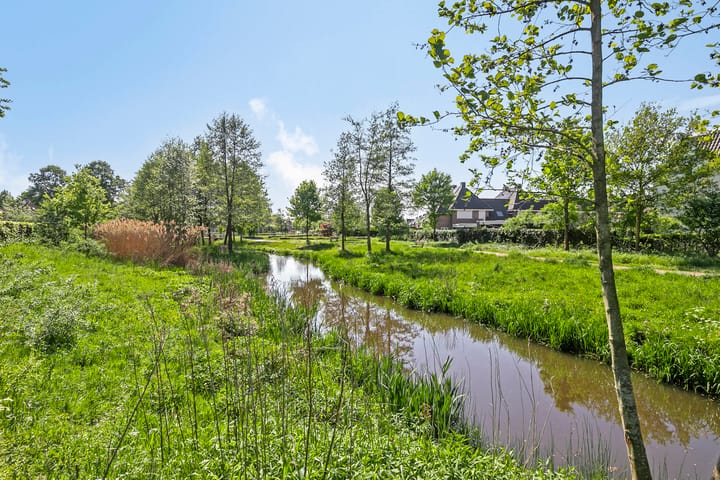 Foto 40 van Houtwal 8