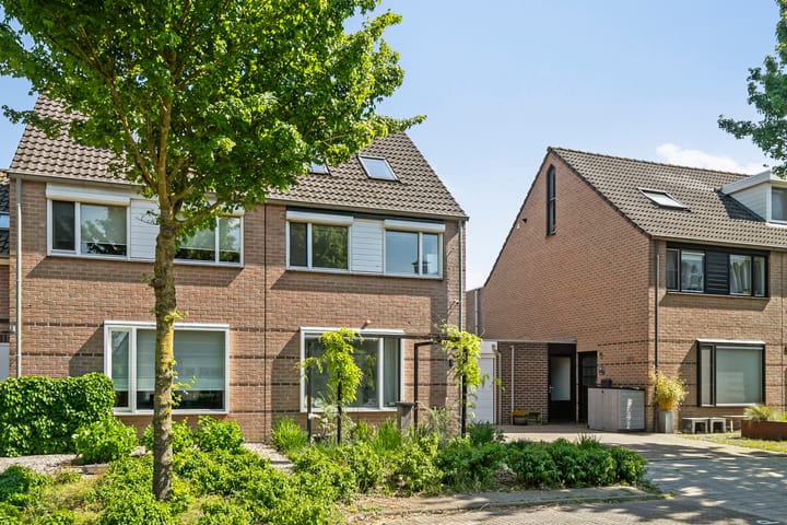 Foto 41 van Houtwal 8