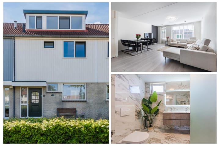 Foto 4 van Zaagvisplantsoen 43