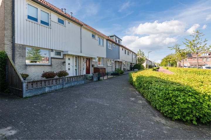 Foto 7 van Zaagvisplantsoen 43