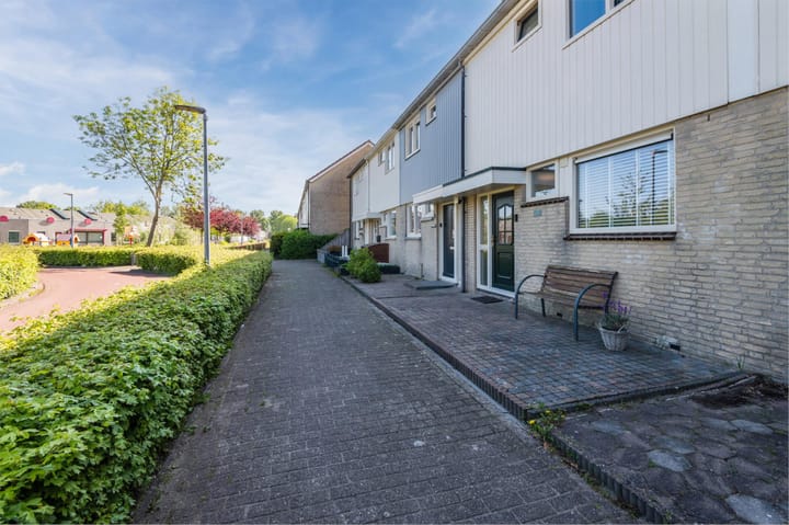 Foto 9 van Zaagvisplantsoen 43