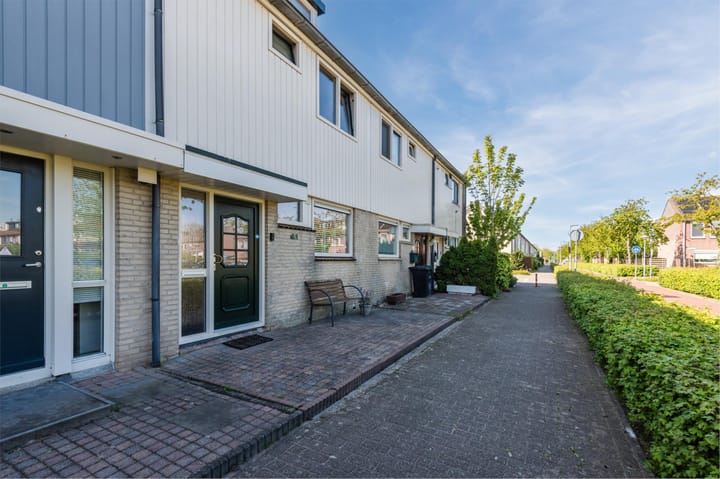 Foto 10 van Zaagvisplantsoen 43