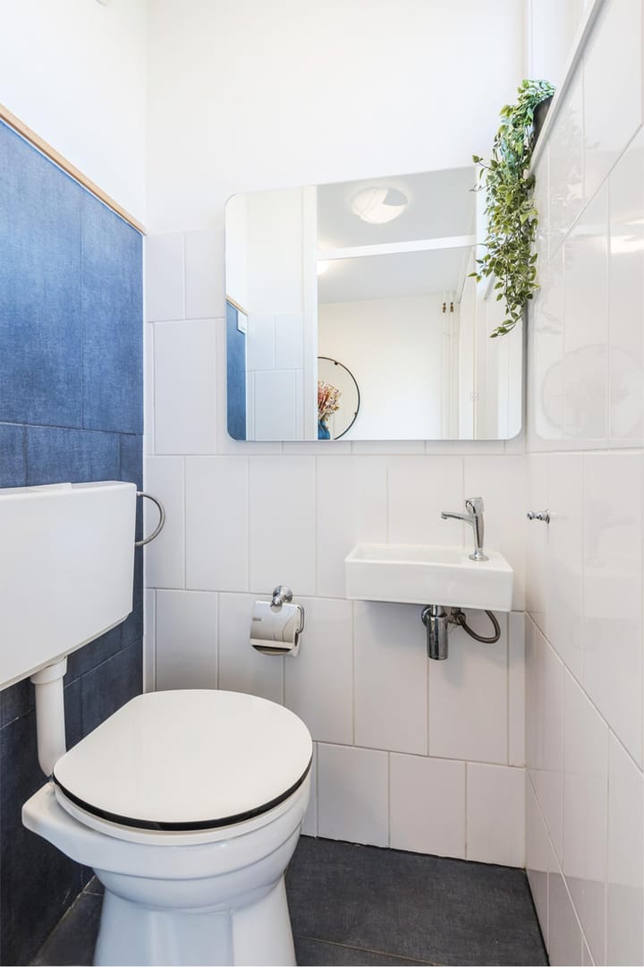 Foto 14 van Zaagvisplantsoen 43