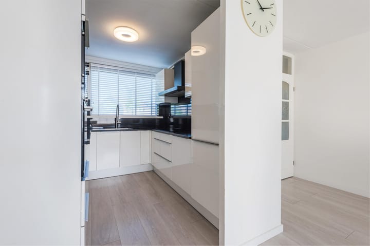 Foto 29 van Zaagvisplantsoen 43