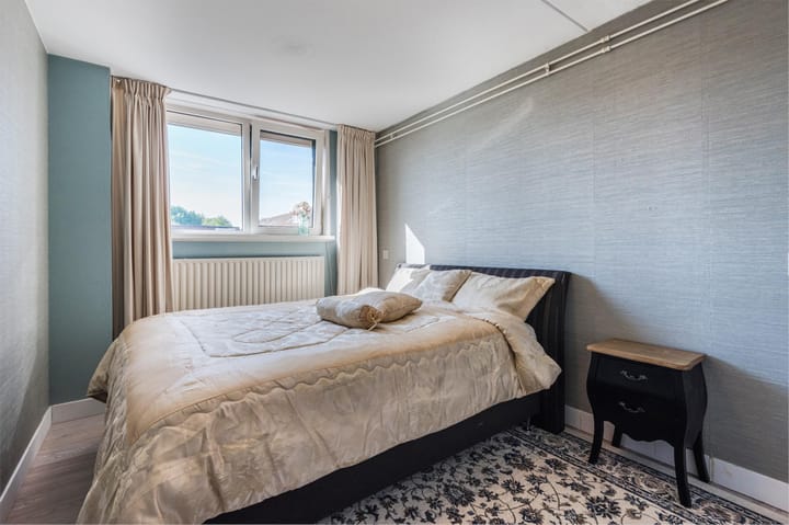 Foto 34 van Zaagvisplantsoen 43