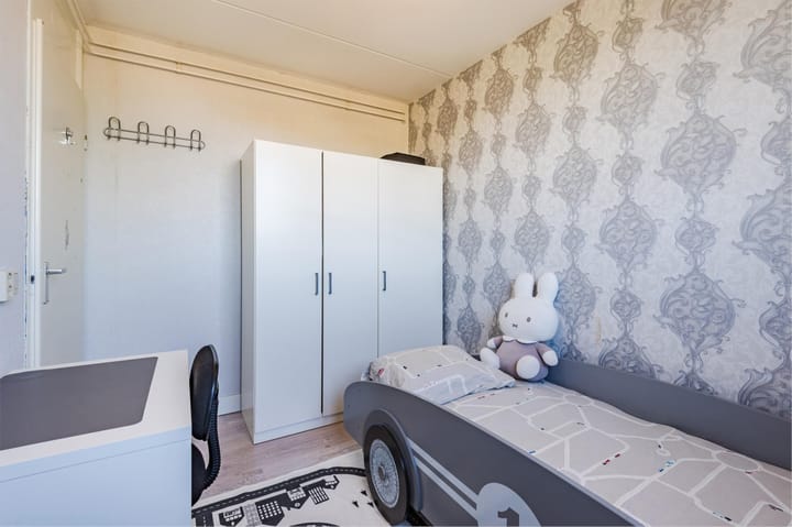 Foto 37 van Zaagvisplantsoen 43