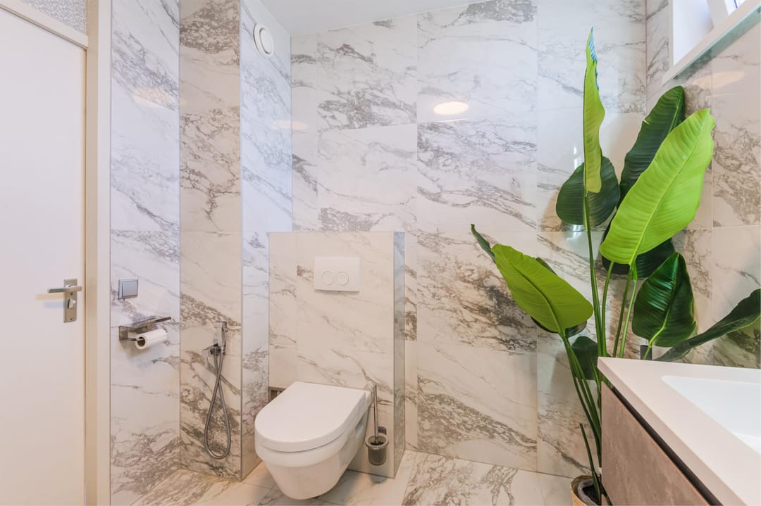 Foto 41 van Zaagvisplantsoen 43