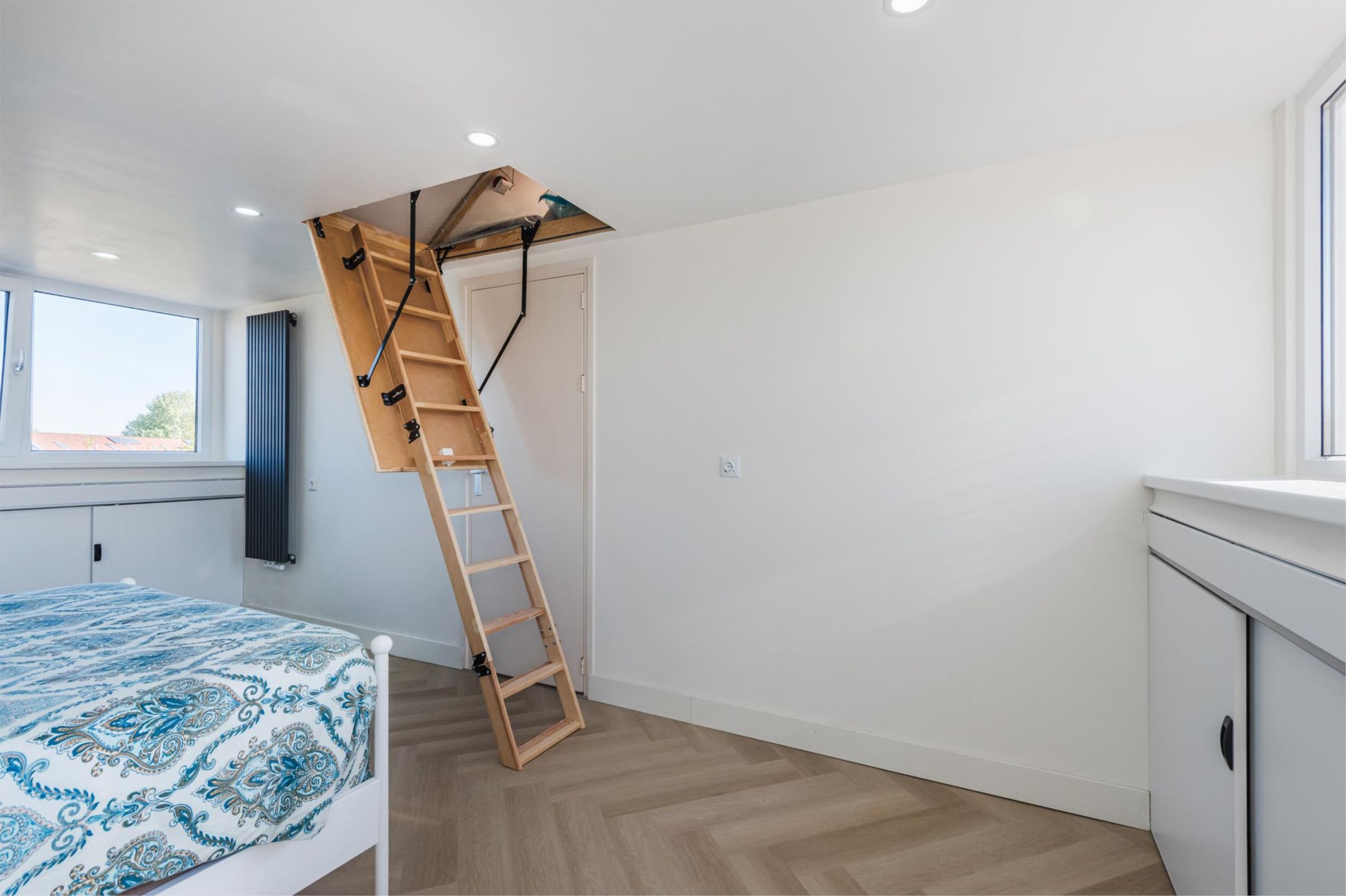 Foto 48 van Zaagvisplantsoen 43