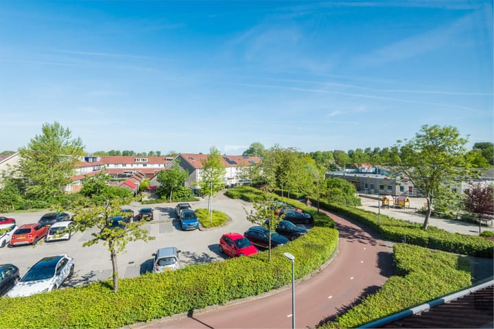 Foto 50 van Zaagvisplantsoen 43