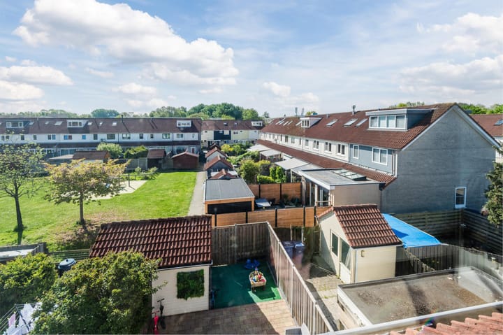 Foto 51 van Zaagvisplantsoen 43