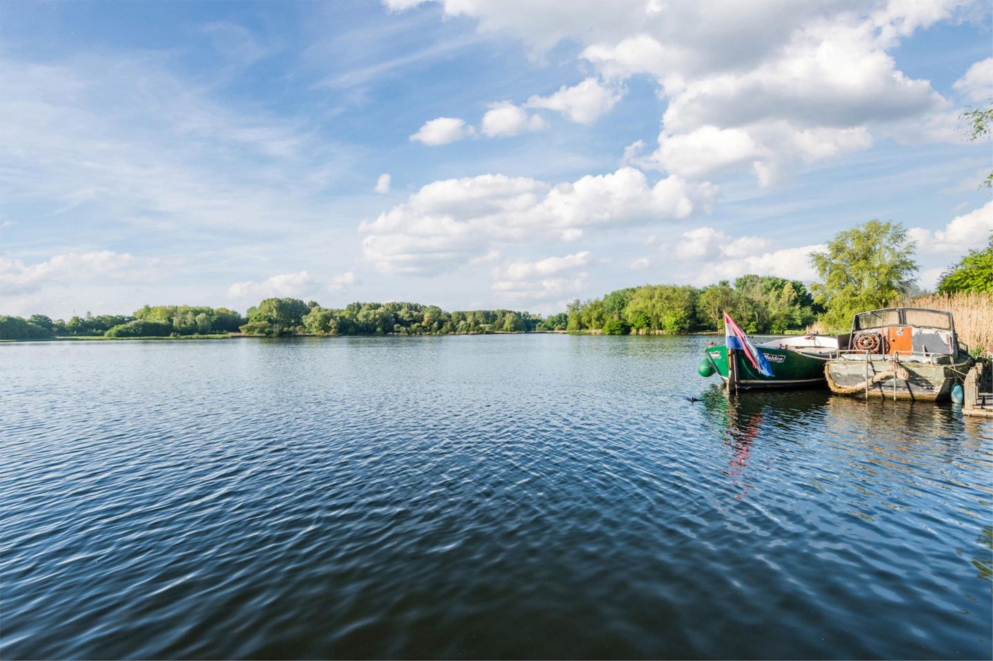 Foto 59 van Zaagvisplantsoen 43