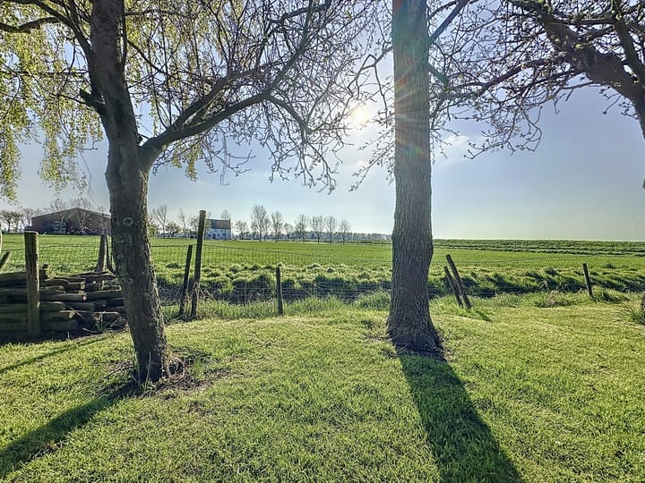 Foto 32 van Schorerweg 5