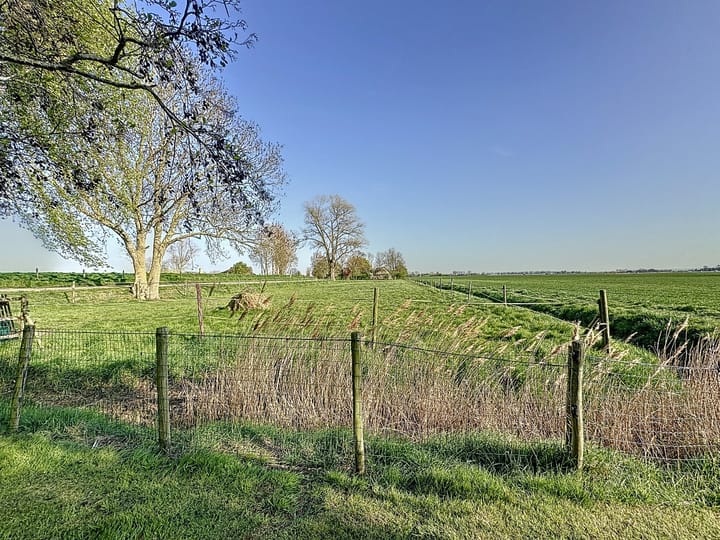 Foto 33 van Schorerweg 5