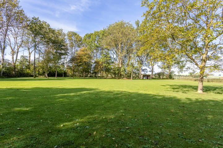 Foto 53 van Kalverdijk 36