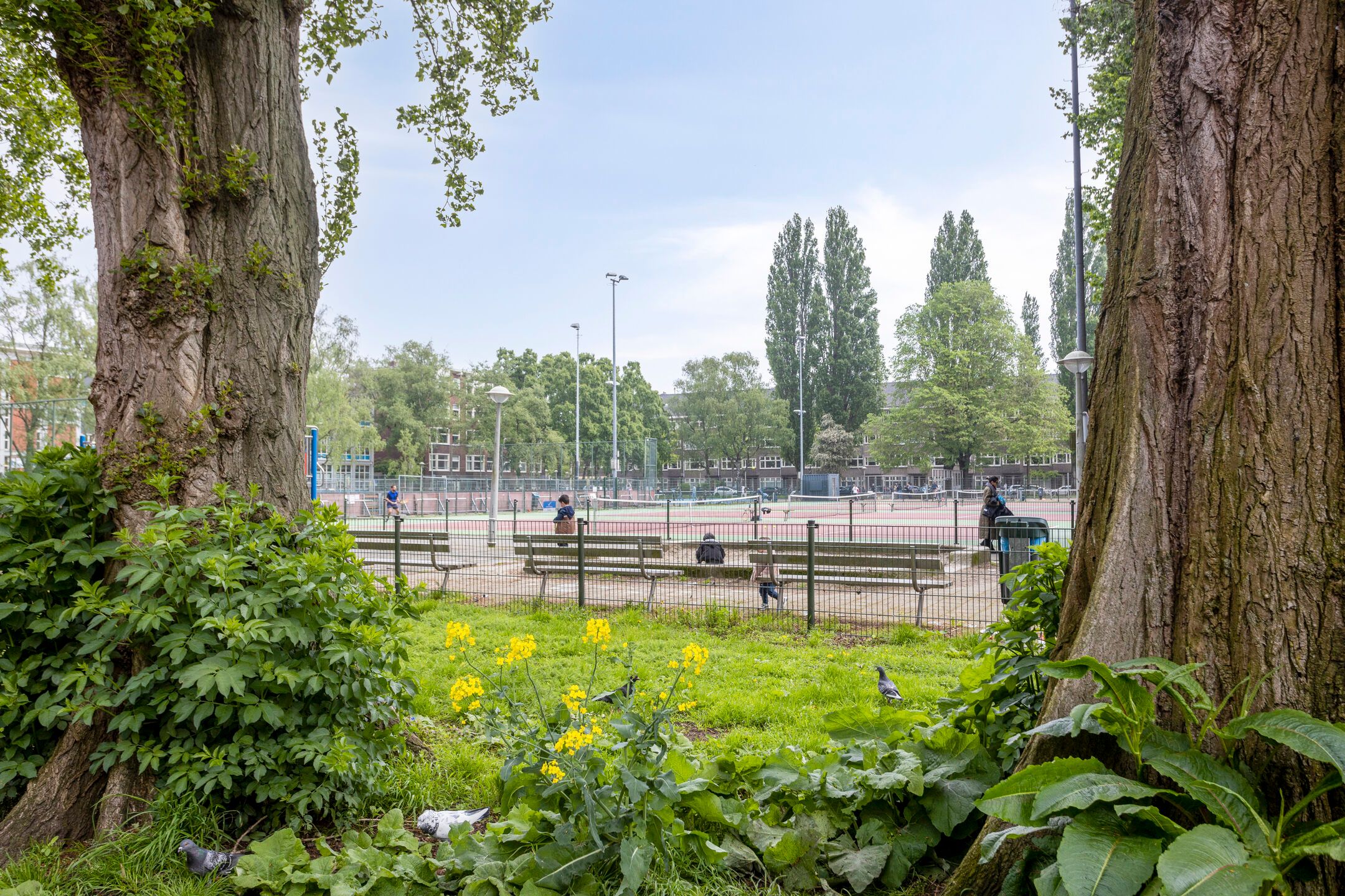 Foto 27 van Kinderdijkstraat 34-3