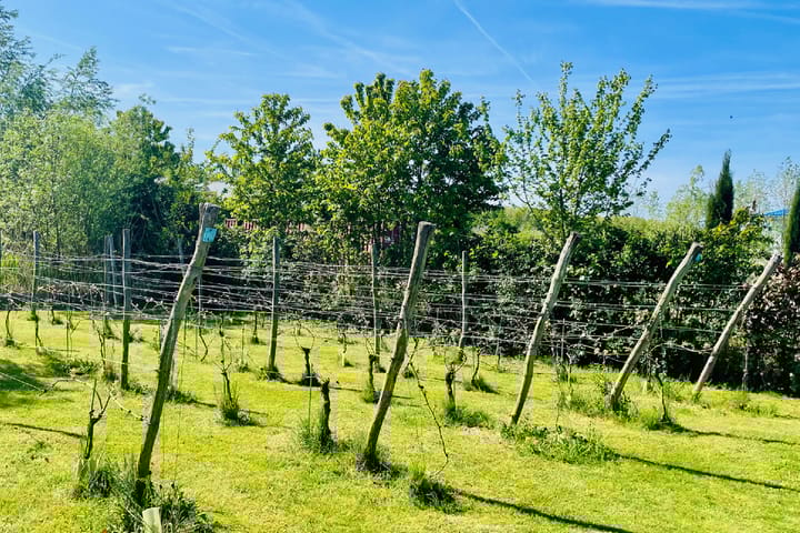 Foto 35 van Vrije Vogellaan 78