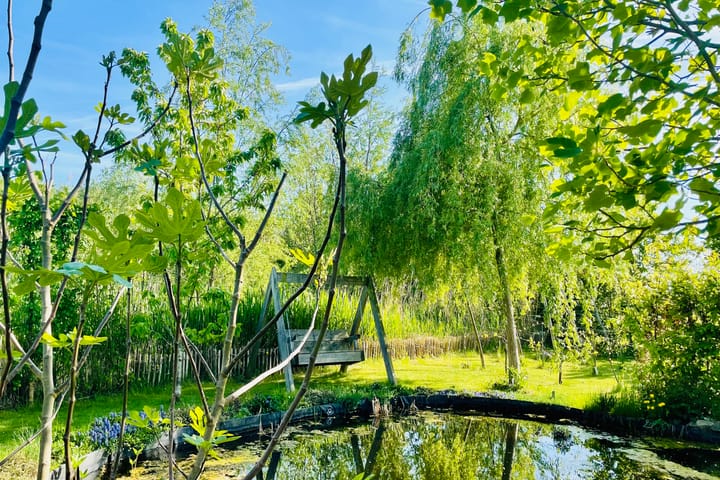 Foto 4 van Vrije Vogellaan 78