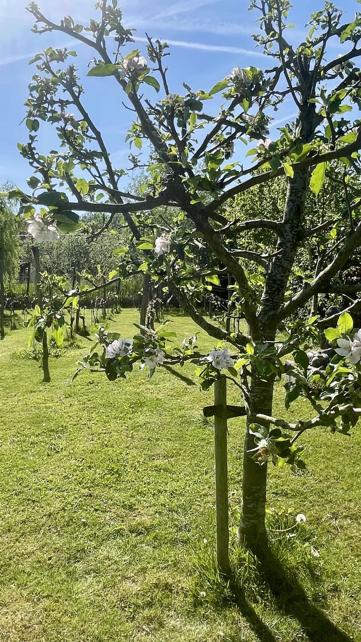 Foto 39 van Vrije Vogellaan 78