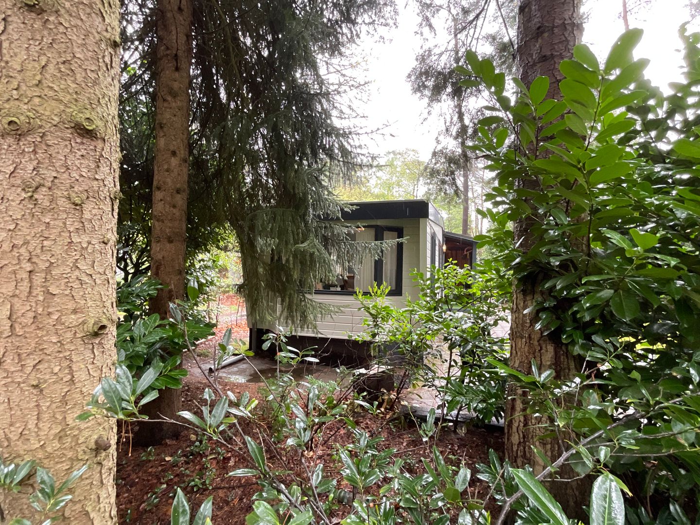 Foto 14 van Drieërweg 119-6