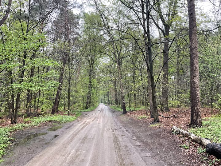 Foto 16 van Drieërweg 119-6