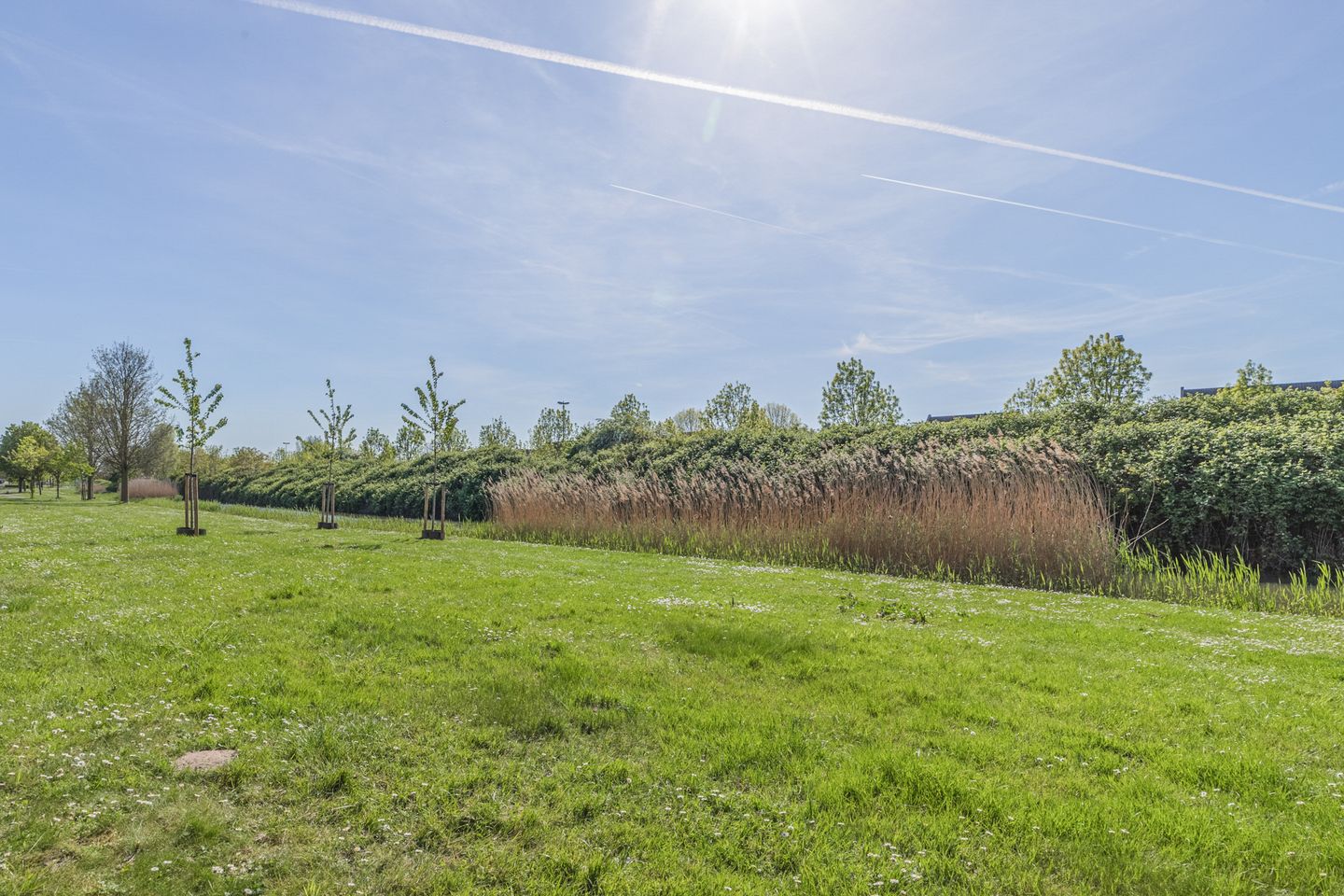 Foto 14 van Kreekraklaan 22