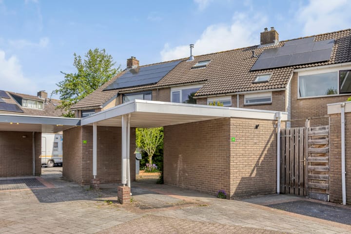 Foto 2 van Hoornmeen 20