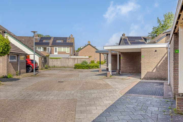 Foto 3 van Hoornmeen 20