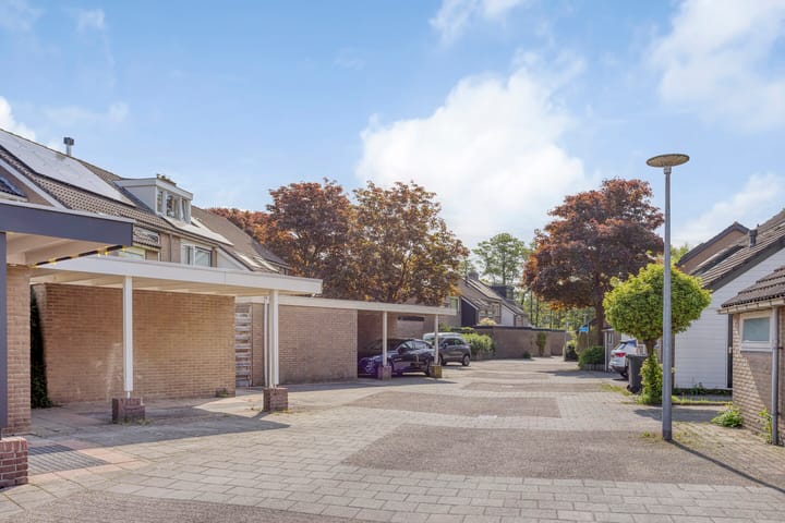 Foto 5 van Hoornmeen 20