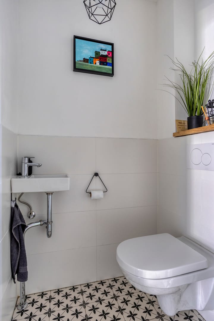 Photo 10 of Hoornmeen 20