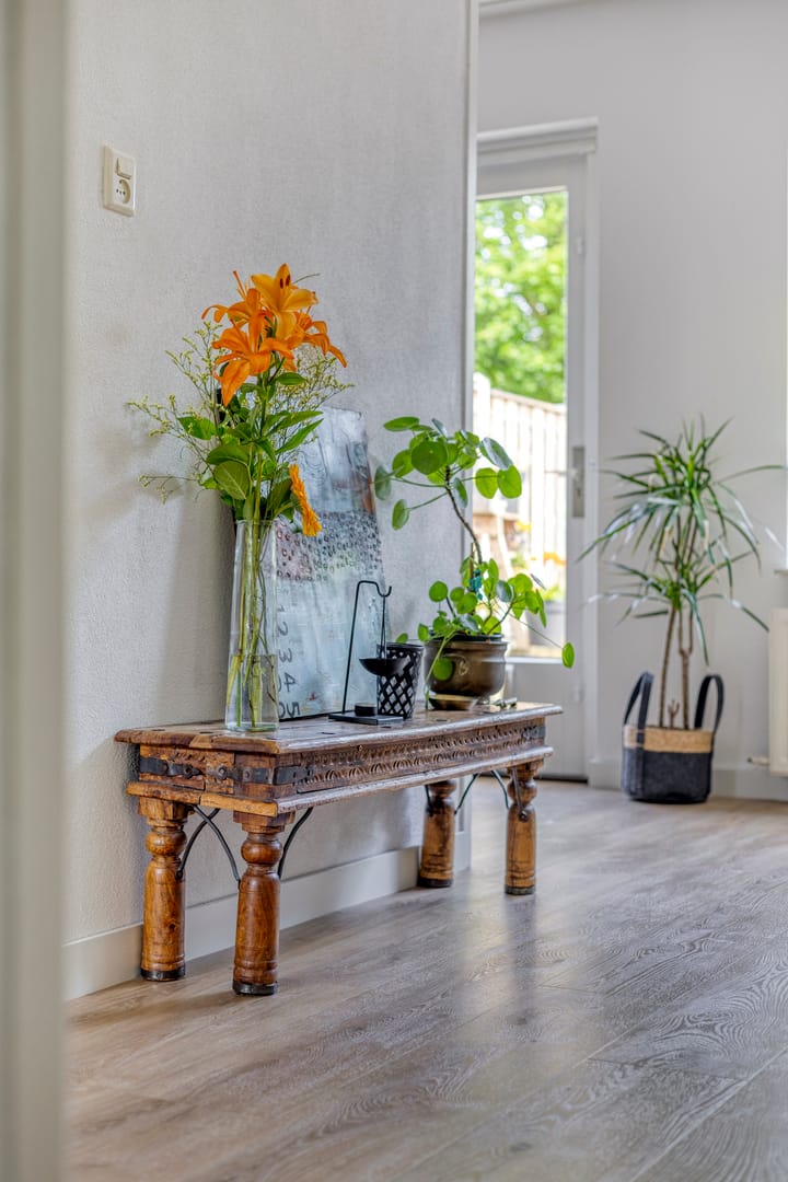 Photo 13 of Hoornmeen 20