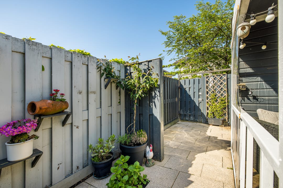 Foto 32 van Kantmos 5