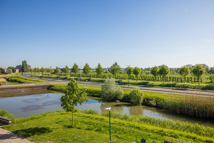 Foto 35 van Kantmos 5