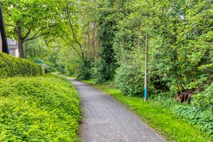 Photo 48 of Hoornmeen 20