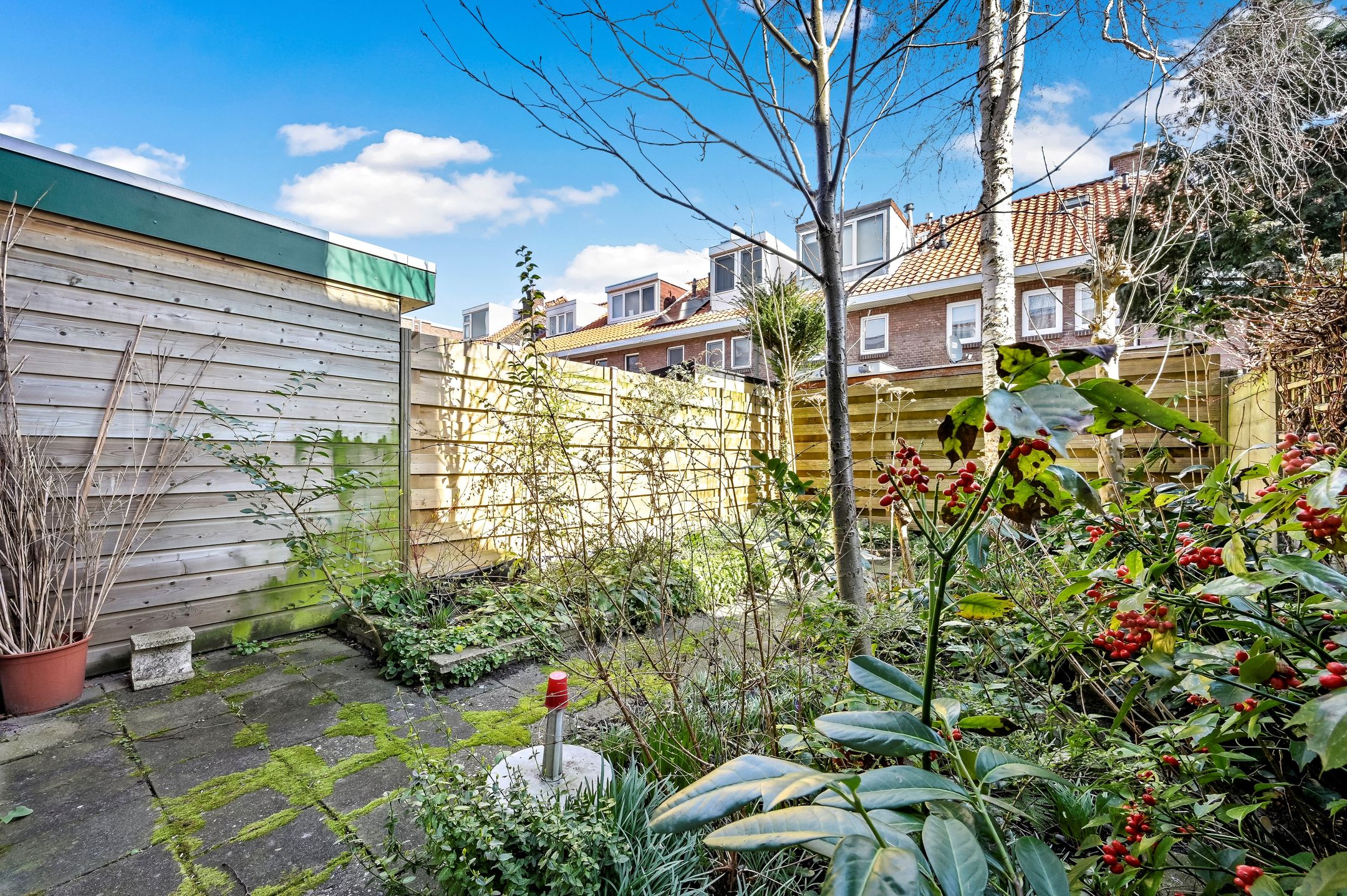 Photo 9 of Rodenbachstraat 8