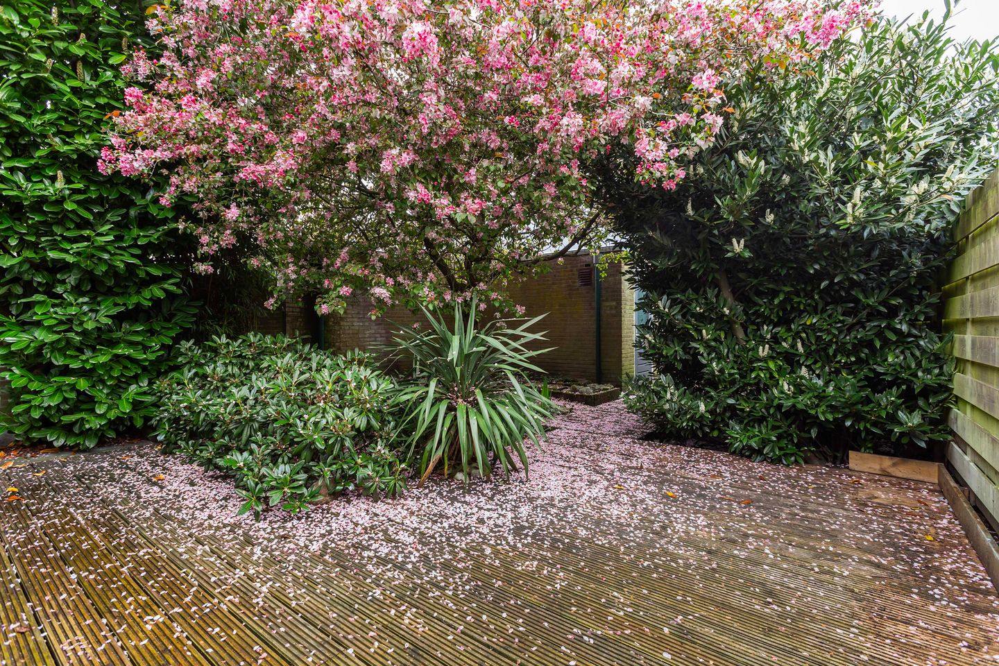 Foto 19 van De Hofstede 12