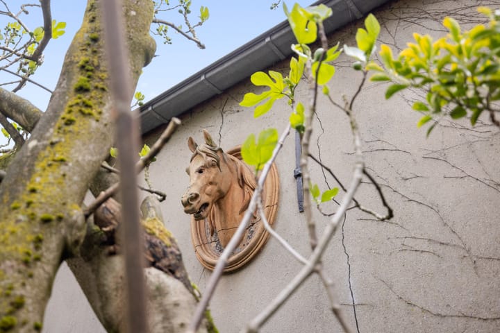 Foto 48 van Schapenbrugstraat 2