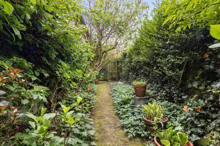 Foto 49 van Schapenbrugstraat 2