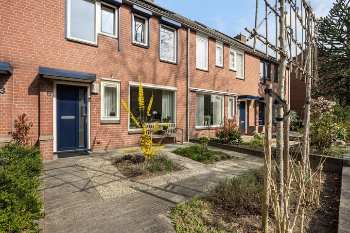 Foto 2 van Braillestraat 5