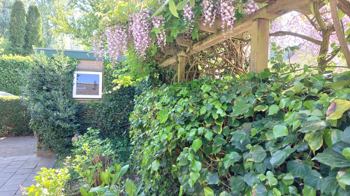 Foto 31 van Martena 13