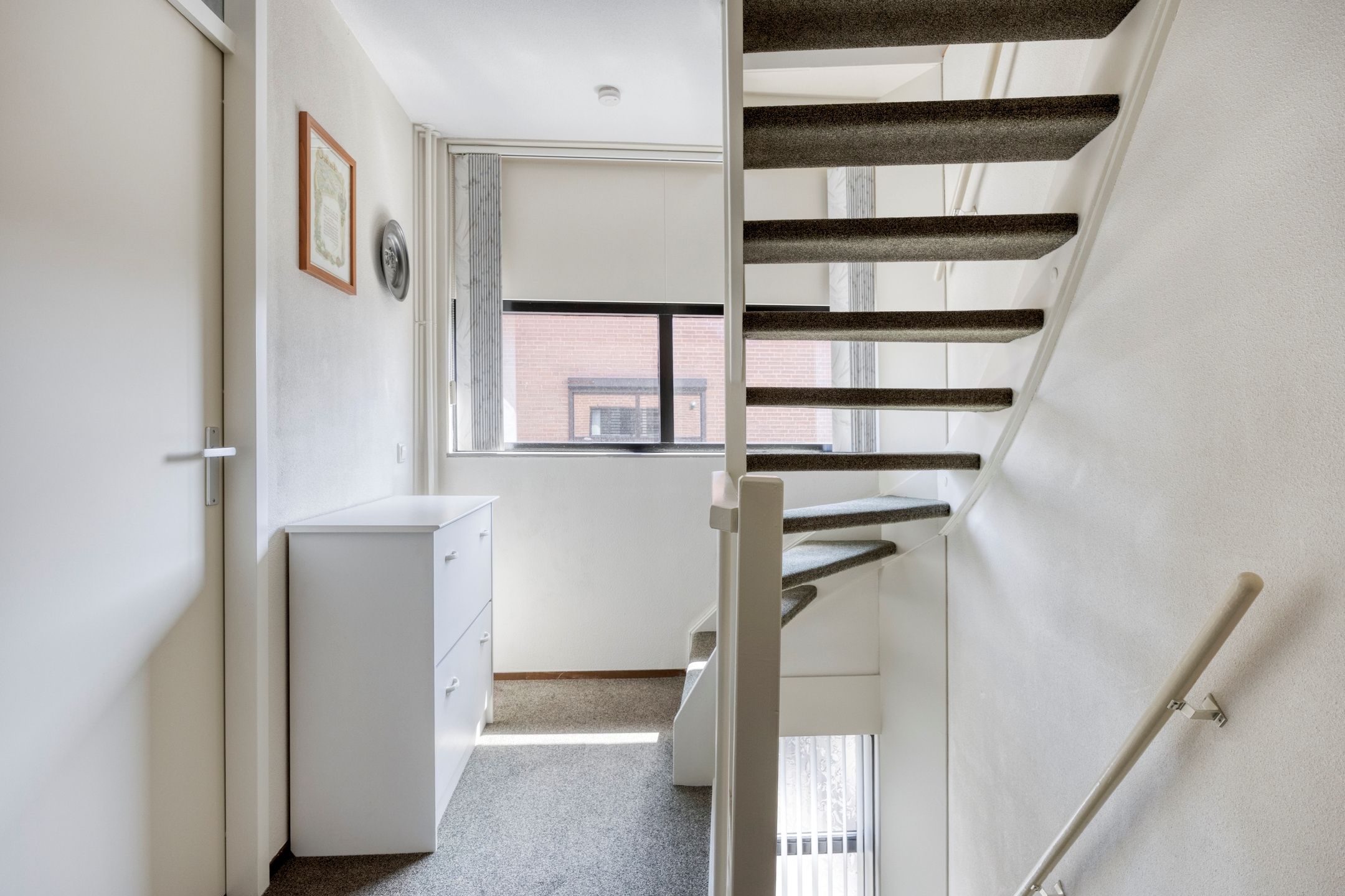 Foto 15 van Waterbies 6