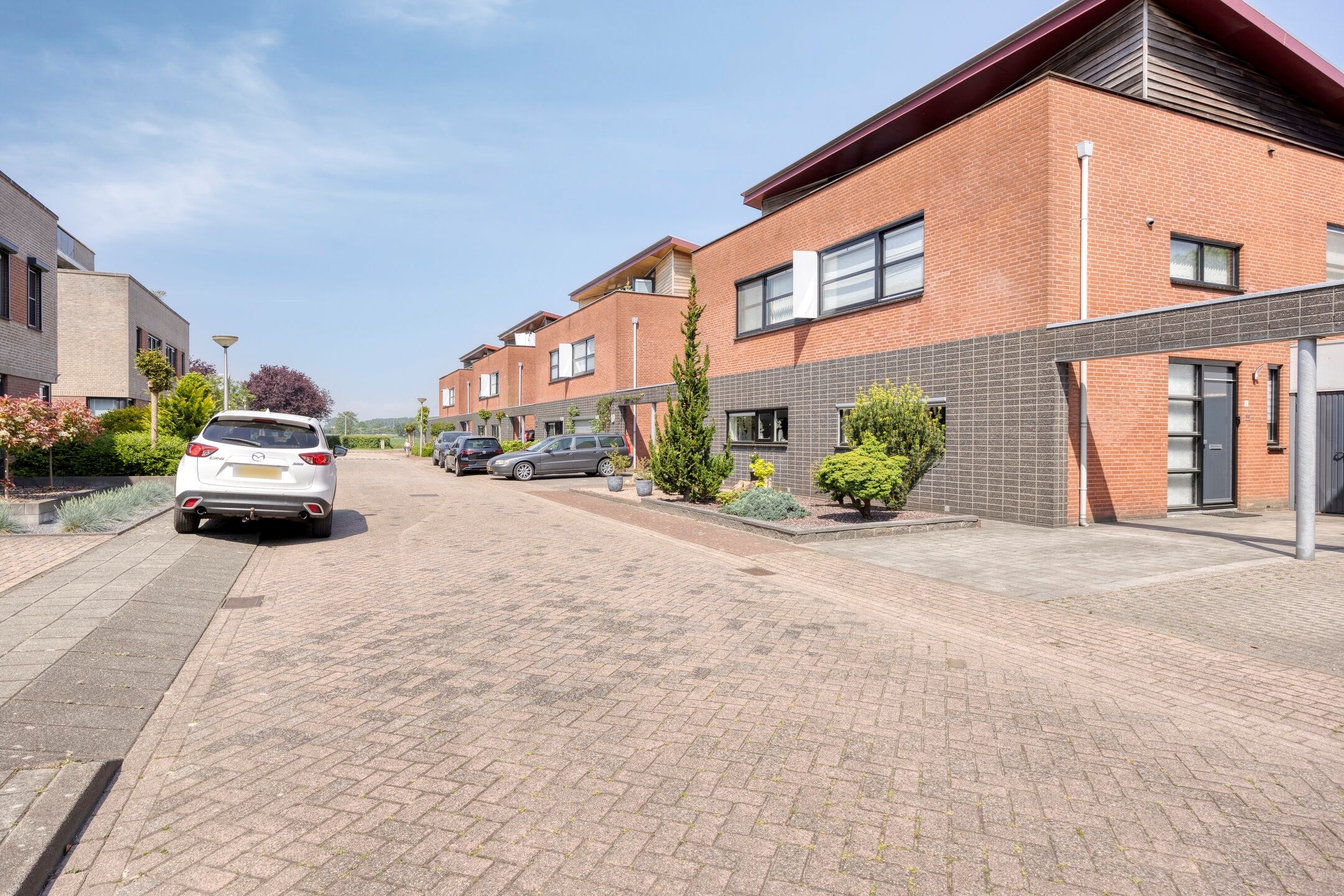 Foto 36 van Waterbies 6