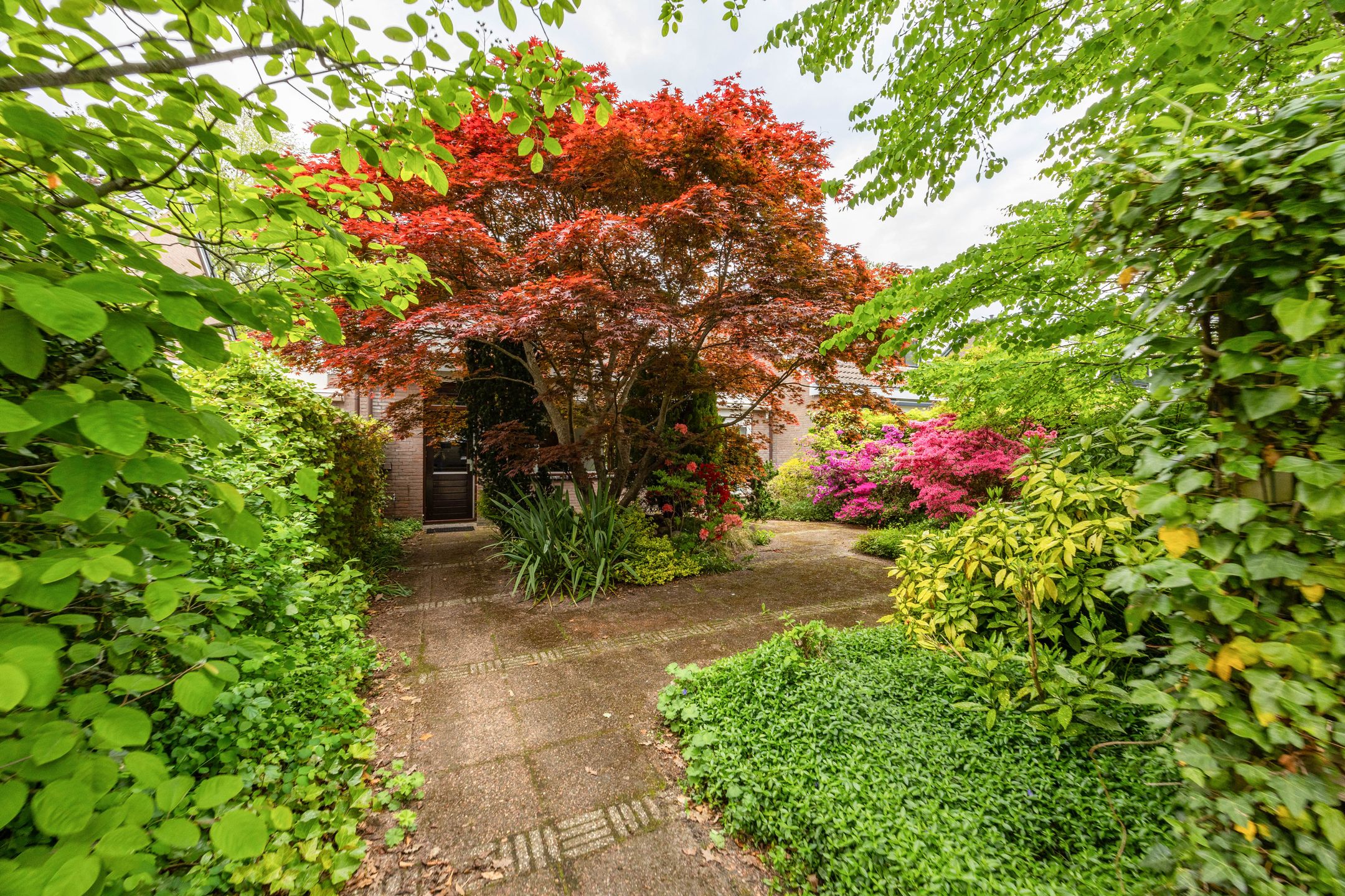 Foto 33 van Hoorniklaan 8