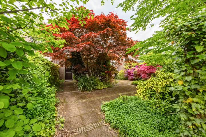 Foto 33 van Hoorniklaan 8