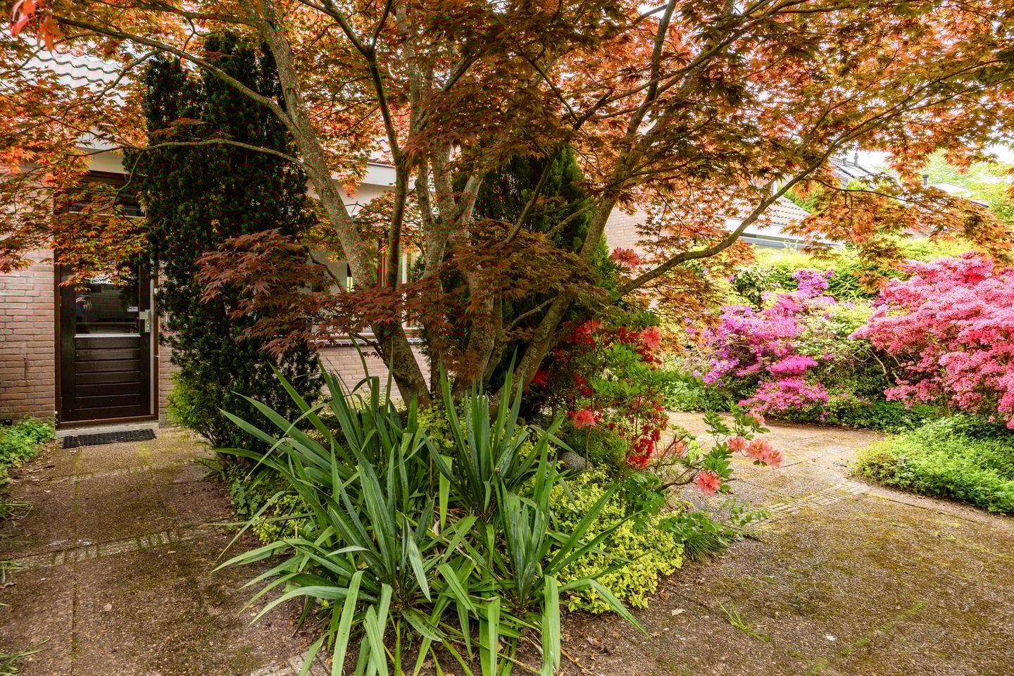 Foto 34 van Hoorniklaan 8