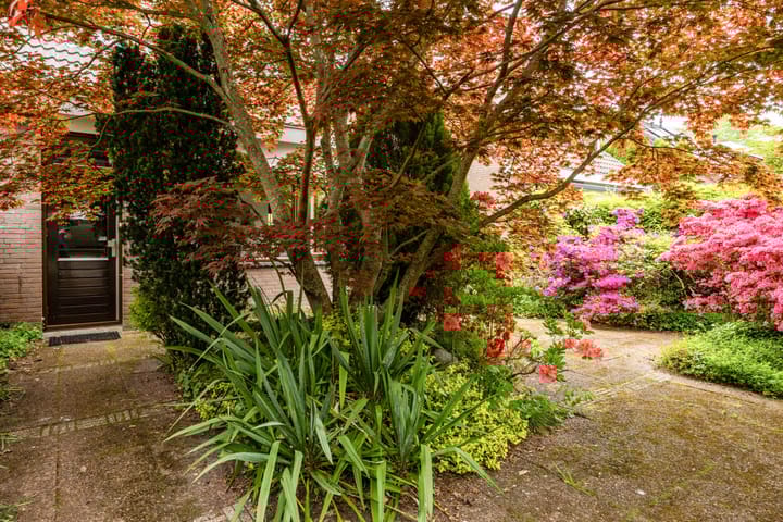 Foto 34 van Hoorniklaan 8