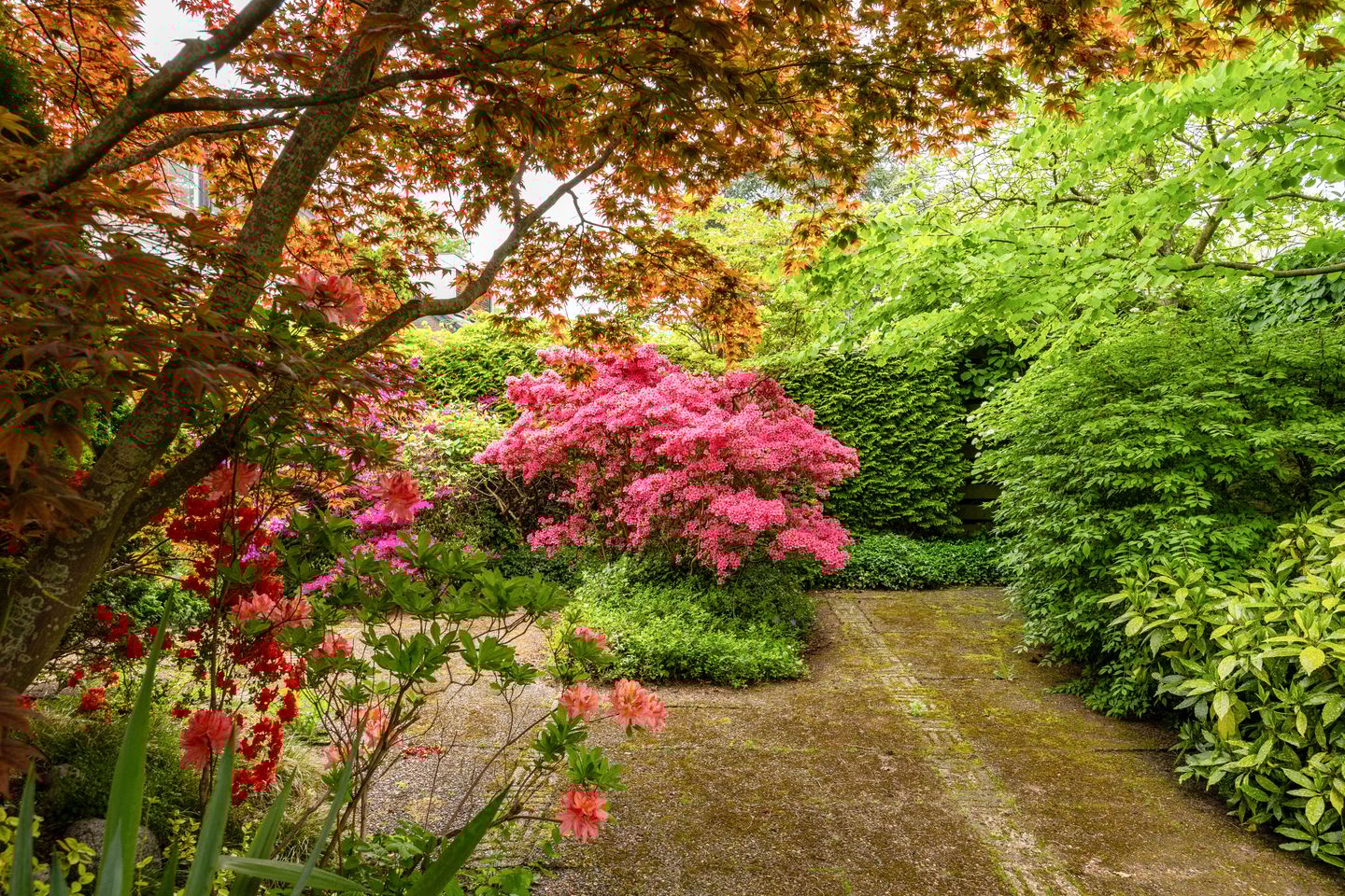 Foto 35 van Hoorniklaan 8