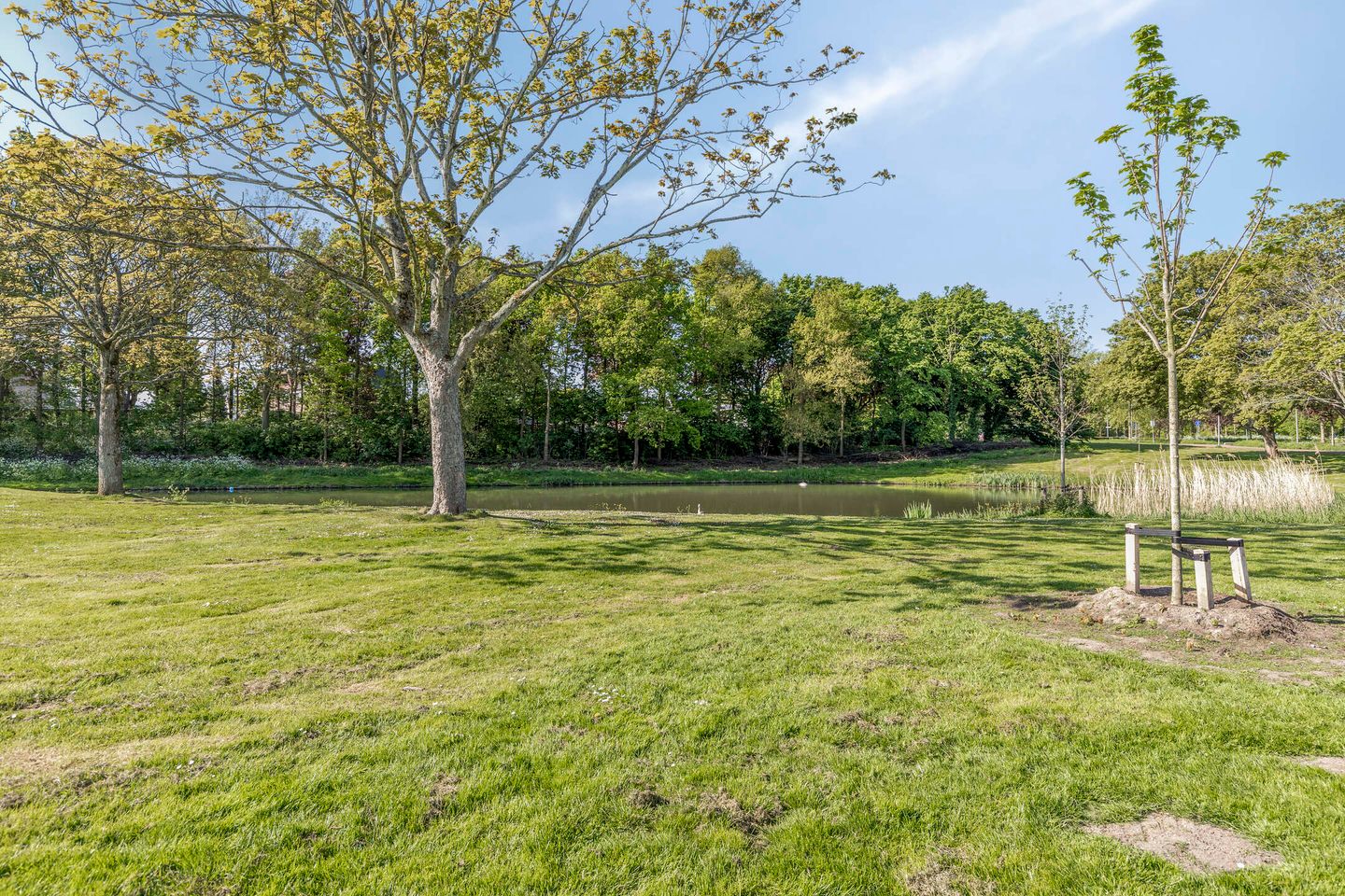 Photo 34 of Ferdinand Huyckstraat 19